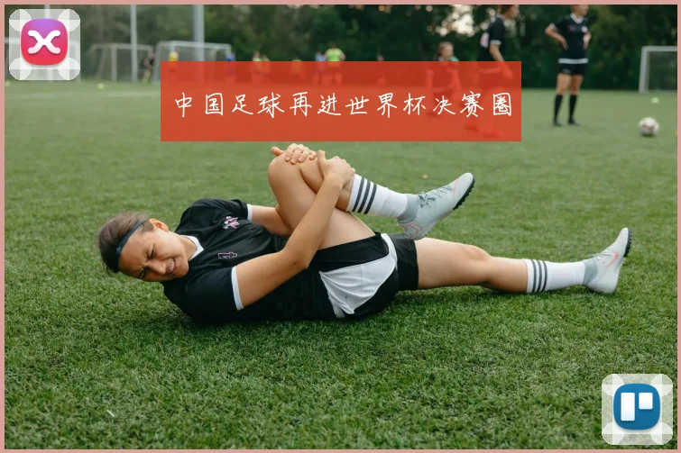 中国足球再进世界杯决赛圈